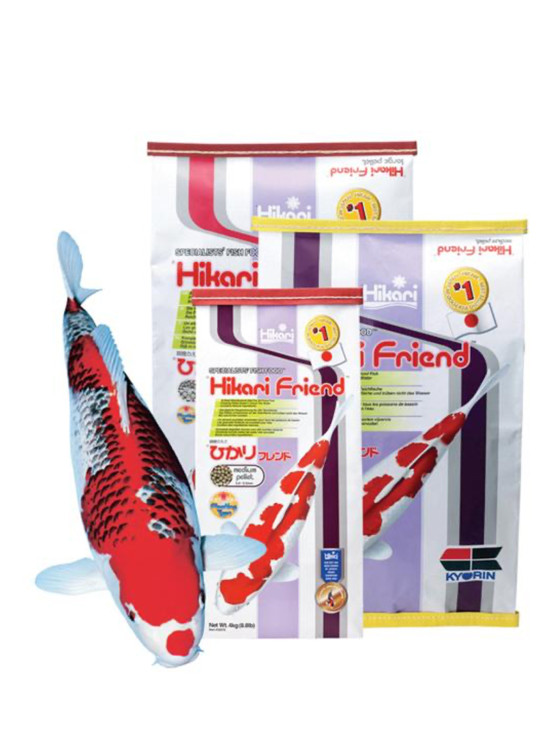 Hikari Koi Friend 4kg M