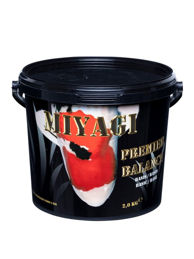 Miyagi Premier Balance 5mm 2kg