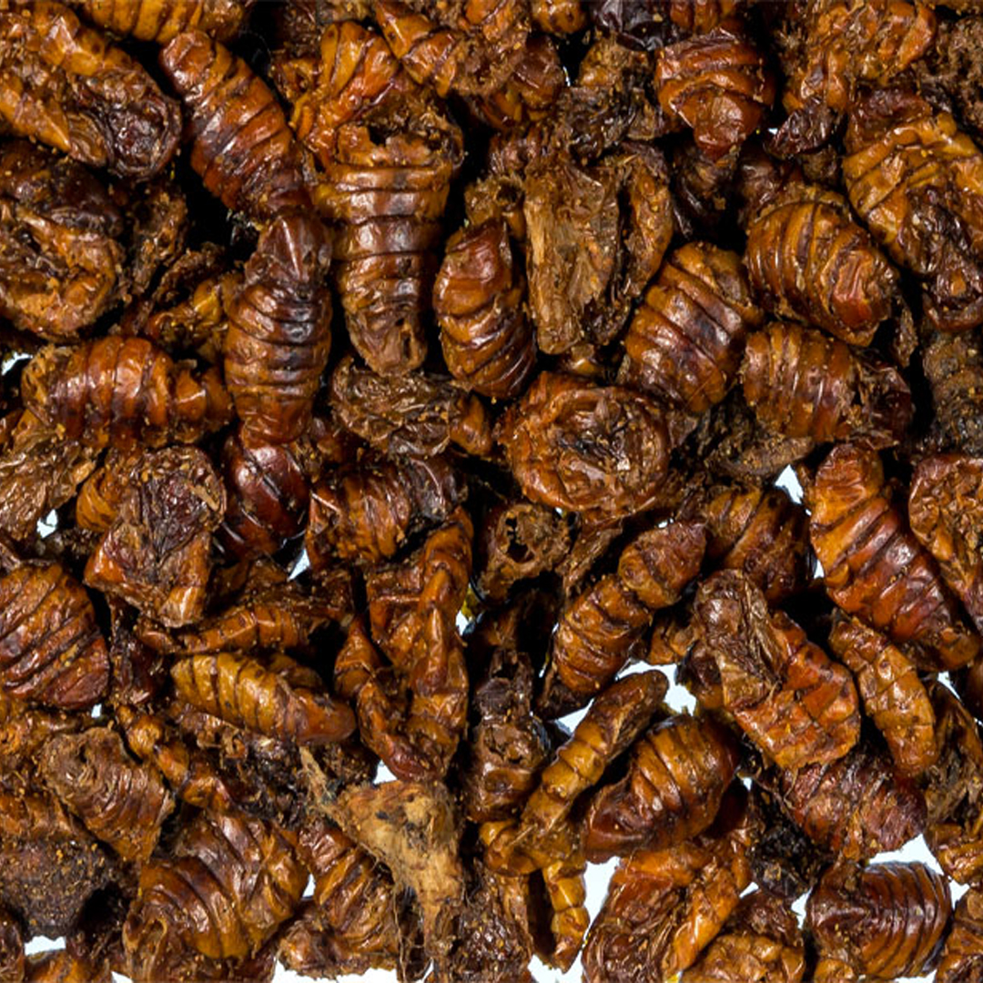 Suszone Jedwabniki (rozważane) 1kg