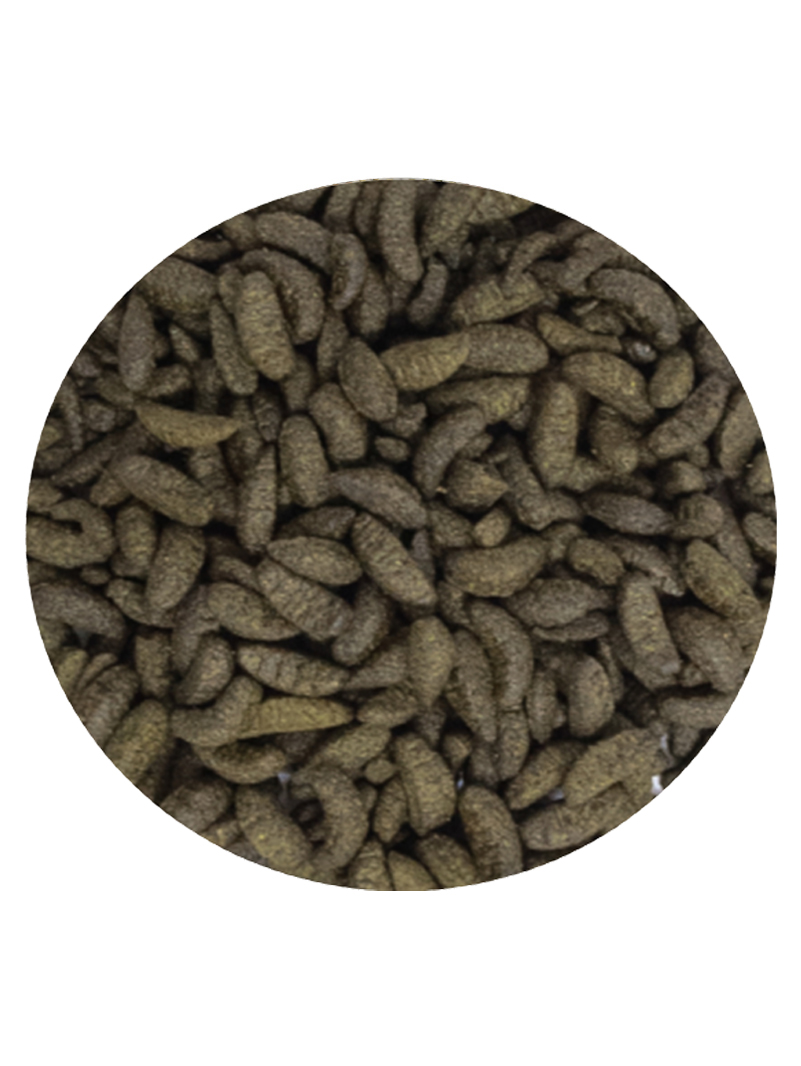 Vivani Coppens Midori 2kg (Jedwabniki)