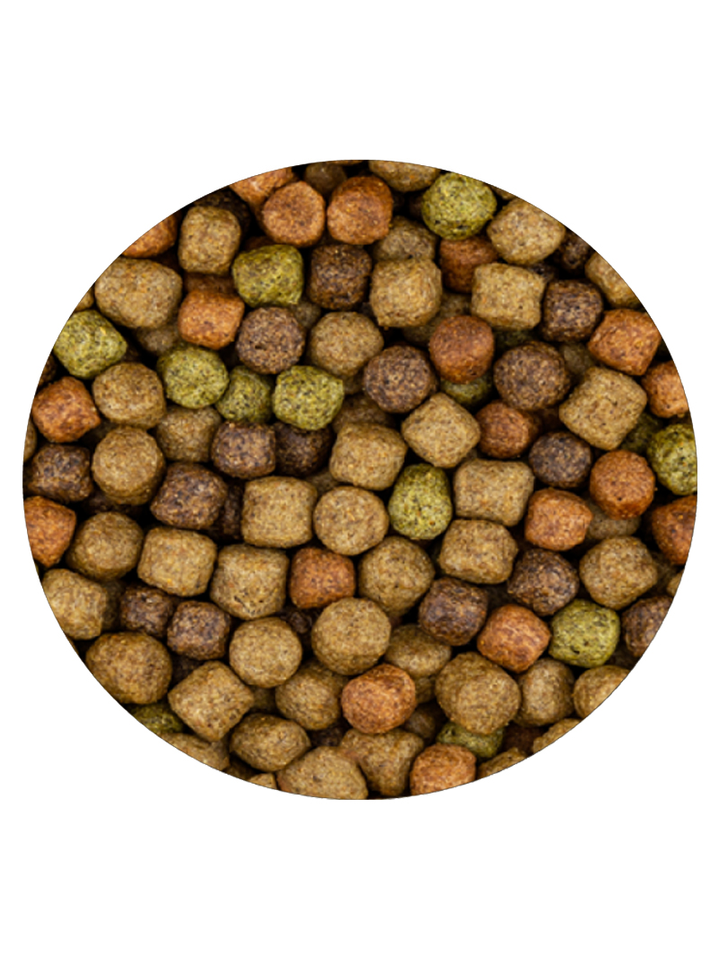 Vivani Japanese Mix 6mm 2kg