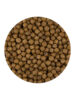 Vivani Pond Pellet 6mm 15kg