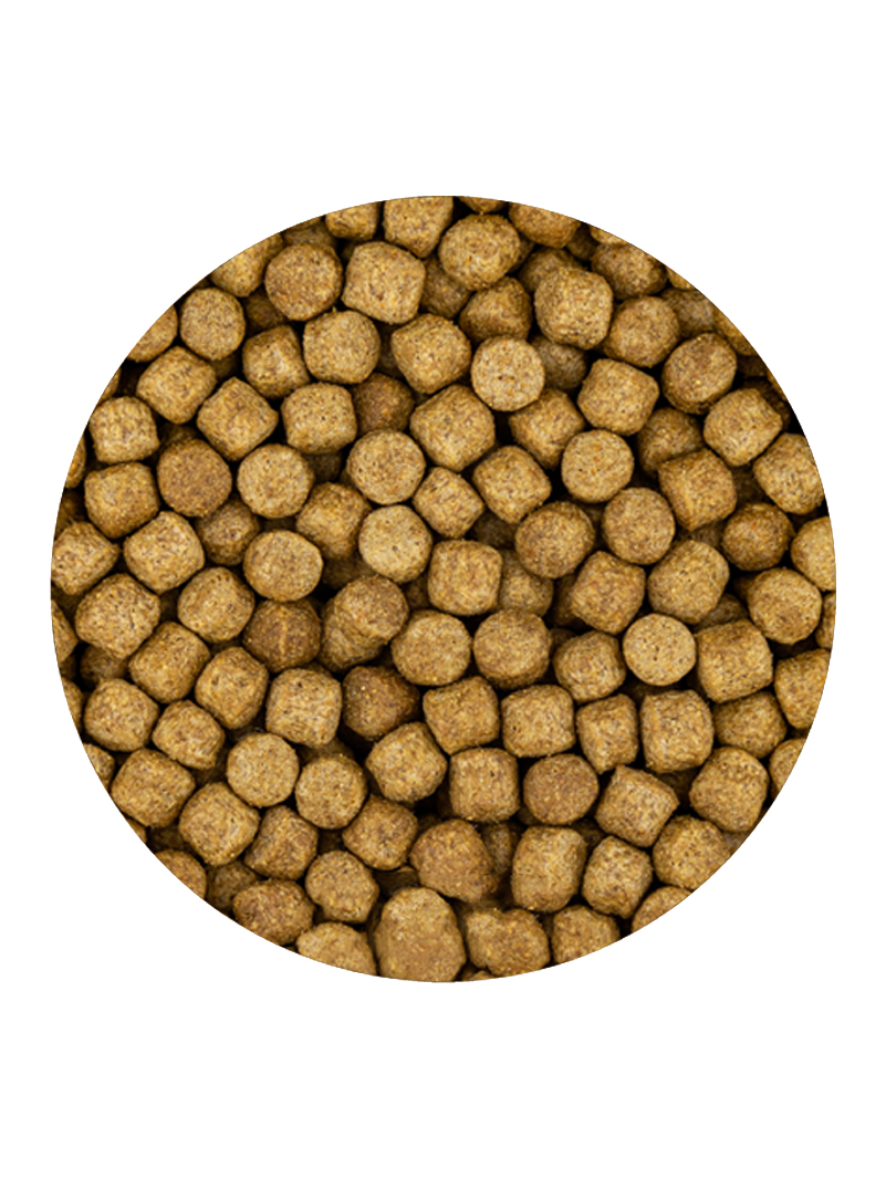 Vivani Wheat Germ Jesień-Wiosna 6mm 2kg od 5 °C