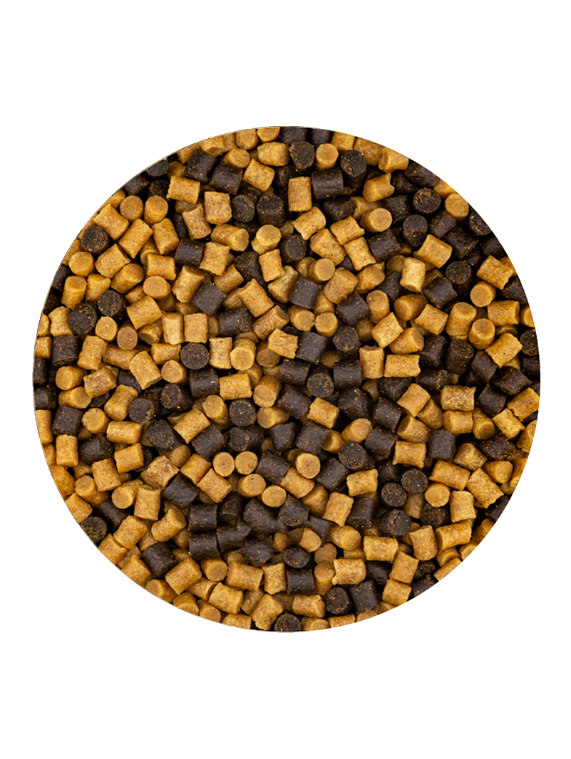 Vivani Winter Mix 1,7kg. Zimowy.Od 5°C