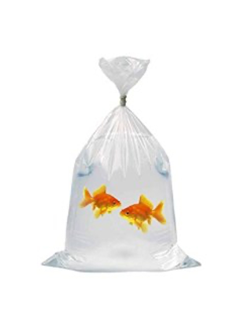 Worki Do Transportu Ryb 35x75cm 1szt